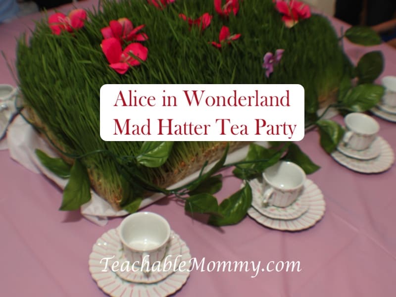 Alice in Wonderland Birthday Party, Mad Hatter Tea Party Birthday