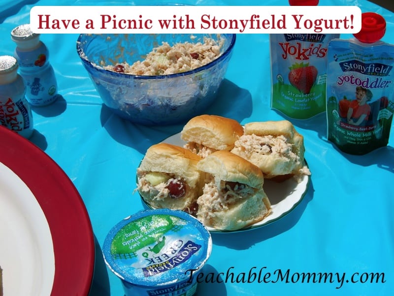 Picnic recipes, healthy picnic, Chicken Salad with greek yogurt, Fruit dip with greek yogurt, #StonyfieldBlogger