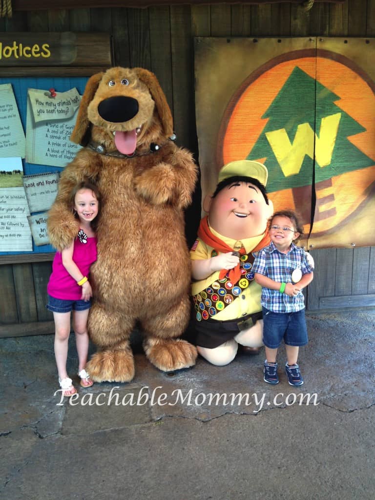 Walt Disney World free activities, Wilderness Explorers at Animal Kingdom