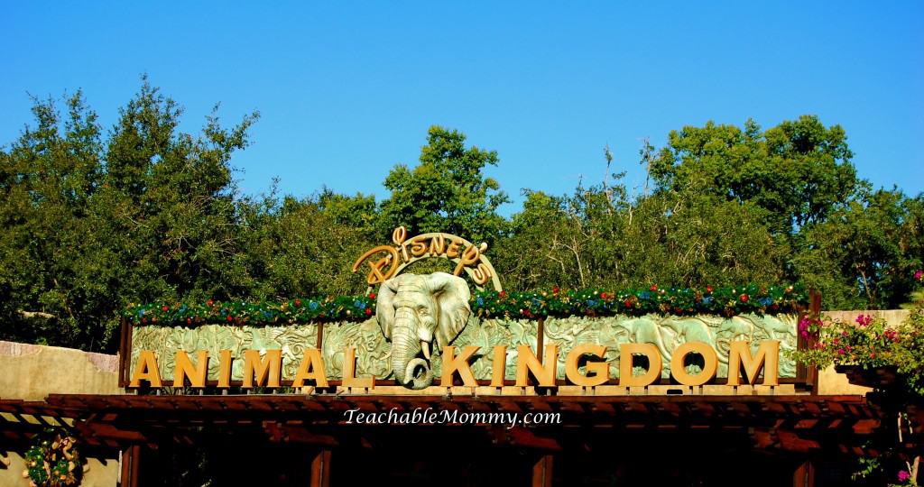 Disney's Animal Kingdom, Animal Kingdom, Walt Disney World, #DisneySMMC