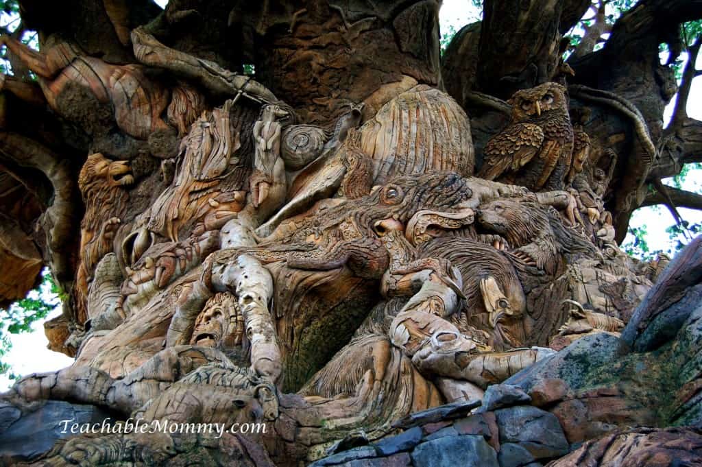Disney's Animal Kingdom, Animal Kingdom, Walt Disney World, #DisneySMMC