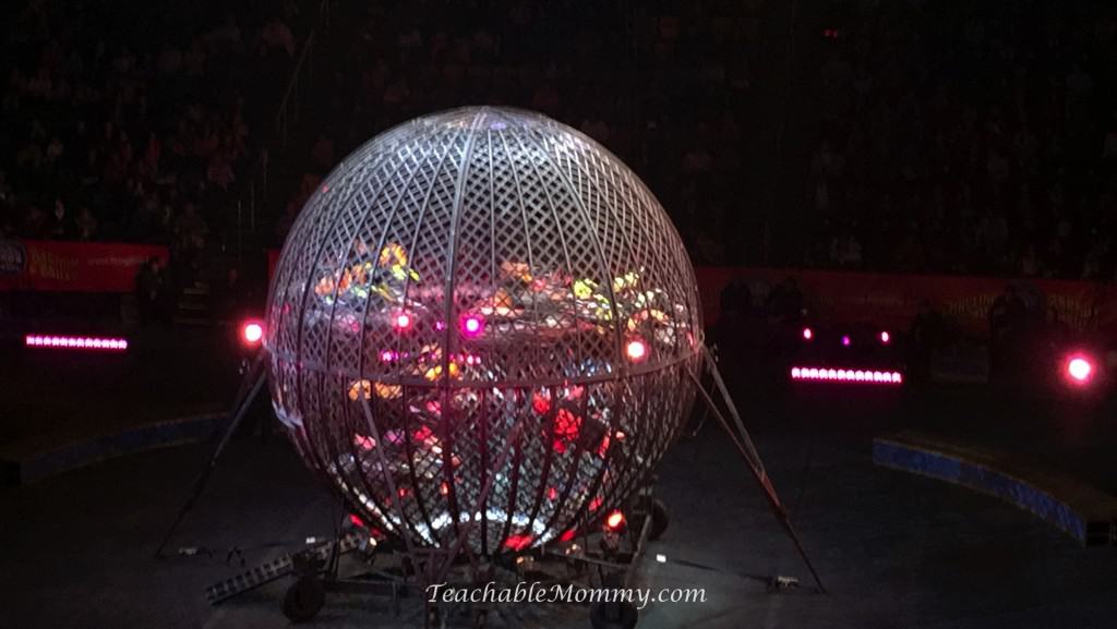 Ringling Bros. and Barnum & Bailey presents LEGENDS! , The Torres Family