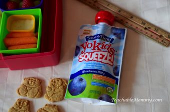 Lunchbox ideas, Lunchbox, Kid lunches, Back to School, #StonyfieldBlogger