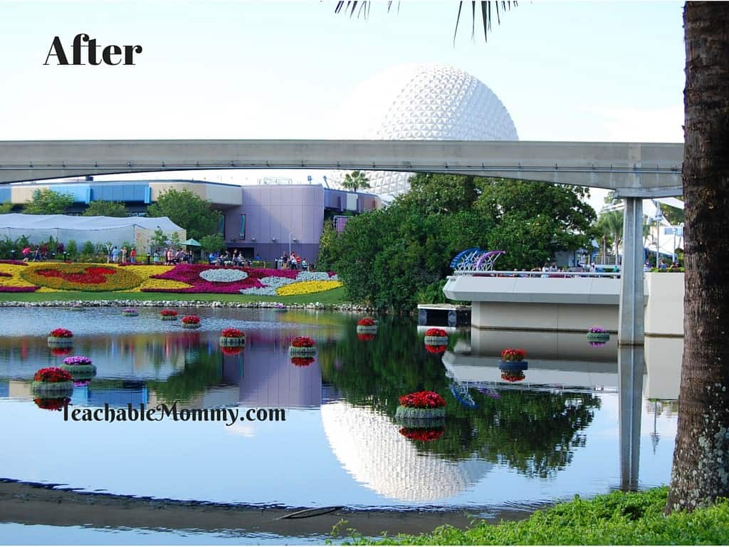 Epcot, Epcot Flower and Garden Festival, Adobe Creative Cloud Photography Plan