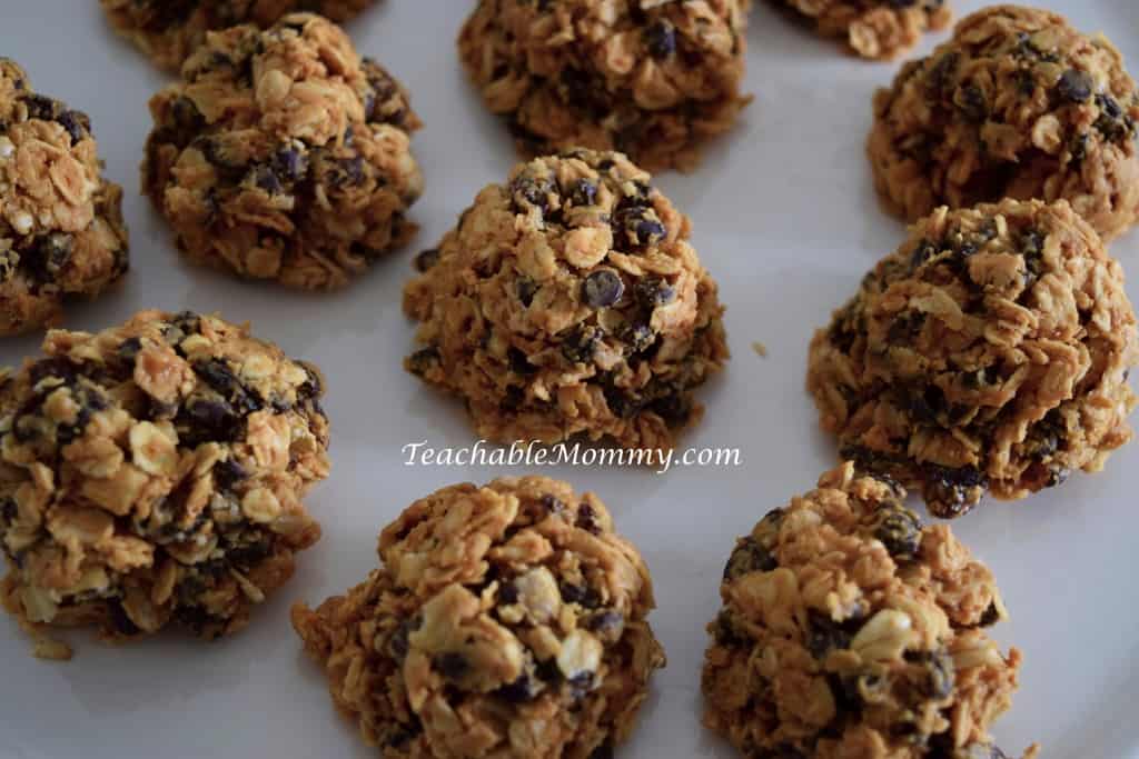 No Bake Oatmeal Bites Recipe