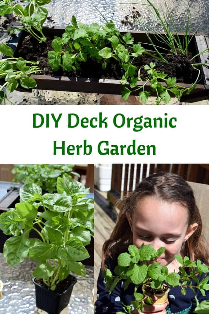 Eco Boys and Girls, ebooks for kids, Earth Day ideas, DIY Deck Organic Herb Garden, Earth Day ideas for kids, organic gardening, deck garden, deck box, #EcoBoysAndGirls #ad