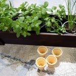 Eco Boys and Girls, ebooks for kids, Earth Day ideas, DIY Deck Organic Herb Garden, Earth Day ideas for kids, organic gardening, deck garden, deck box, #EcoBoysAndGirls #ad