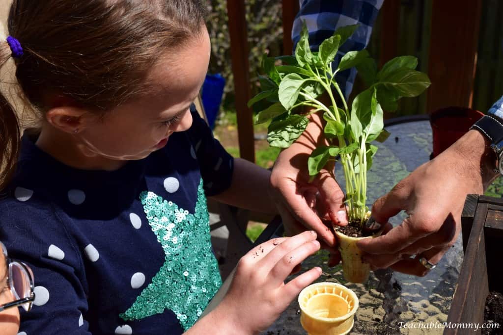 Eco Boys and Girls, ebooks for kids, Earth Day ideas, DIY Deck Organic Herb Garden, Earth Day ideas for kids, organic gardening, deck garden, deck box, #EcoBoysAndGirls #ad 