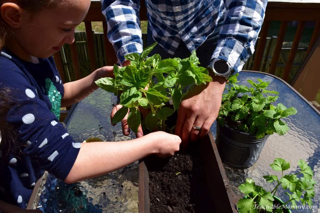 Eco Boys and Girls, ebooks for kids, Earth Day ideas, DIY Deck Organic Herb Garden, Earth Day ideas for kids, organic gardening, deck garden, deck box, #EcoBoysAndGirls #ad 