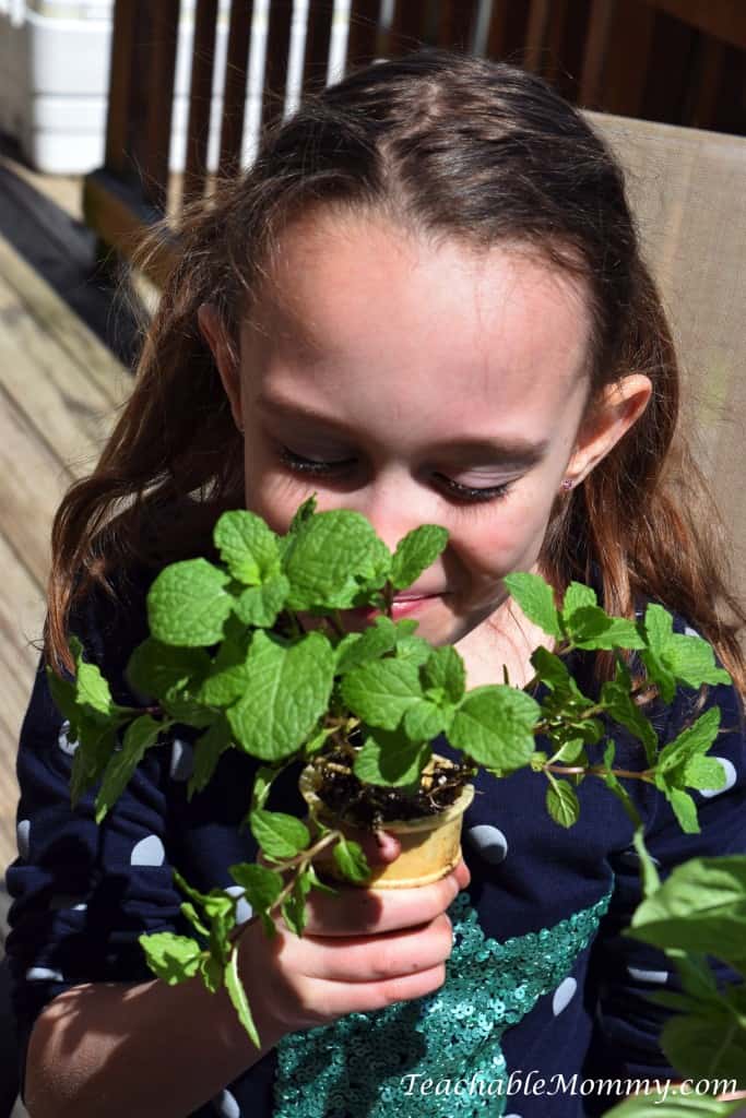 Eco Boys and Girls, ebooks for kids, Earth Day ideas, DIY Deck Organic Herb Garden, Earth Day ideas for kids, organic gardening, deck garden, deck box, #EcoBoysAndGirls #ad 