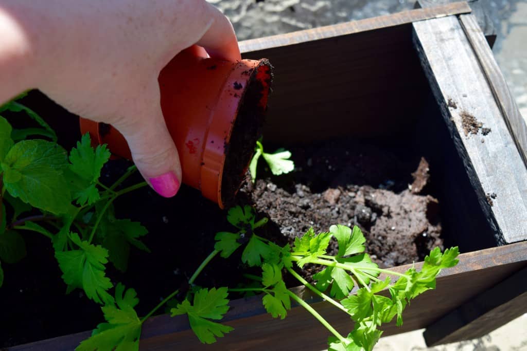 Eco Boys and Girls, ebooks for kids, Earth Day ideas, DIY Deck Organic Herb Garden, Earth Day ideas for kids, organic gardening, deck garden, deck box, #EcoBoysAndGirls #ad 