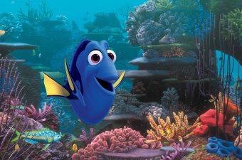 Finding Dory