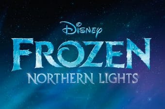 Frozen Northern Lights