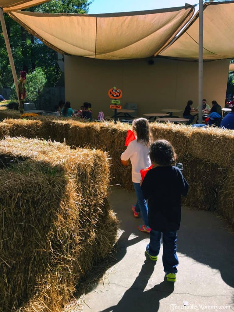 Kings Dominion Great Pumpkin Fest Fun