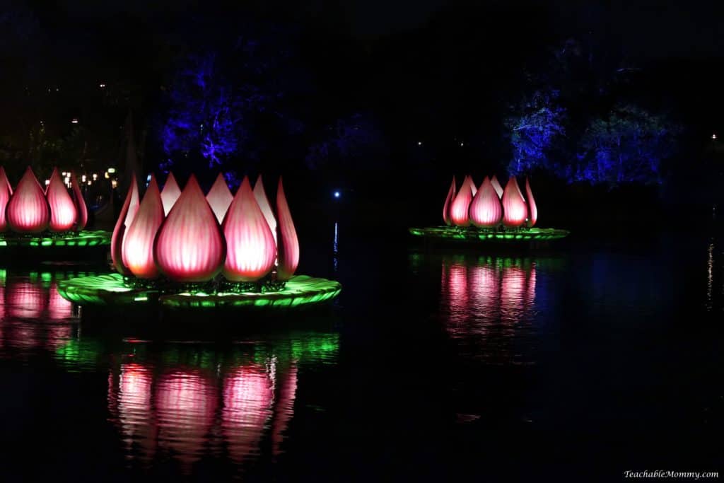 Rivers of Light Show