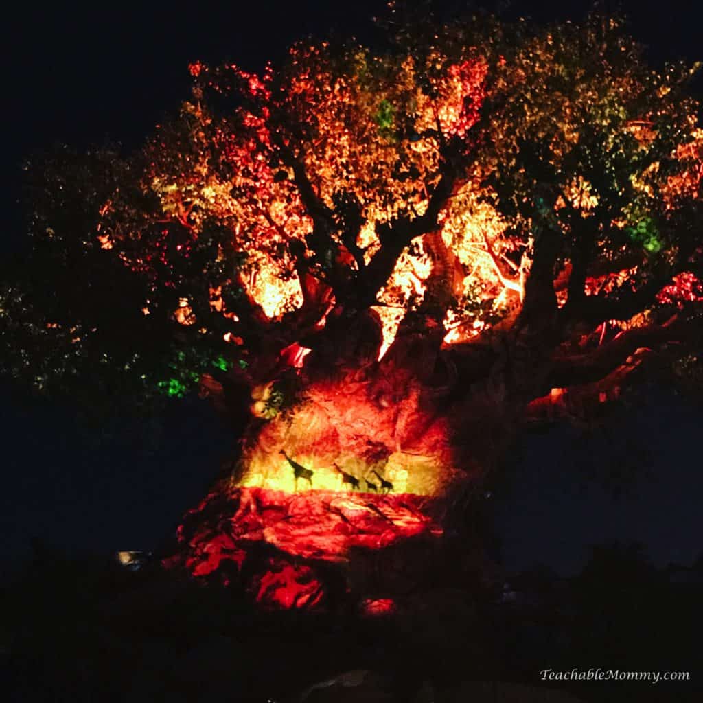 Rivers of Light Show