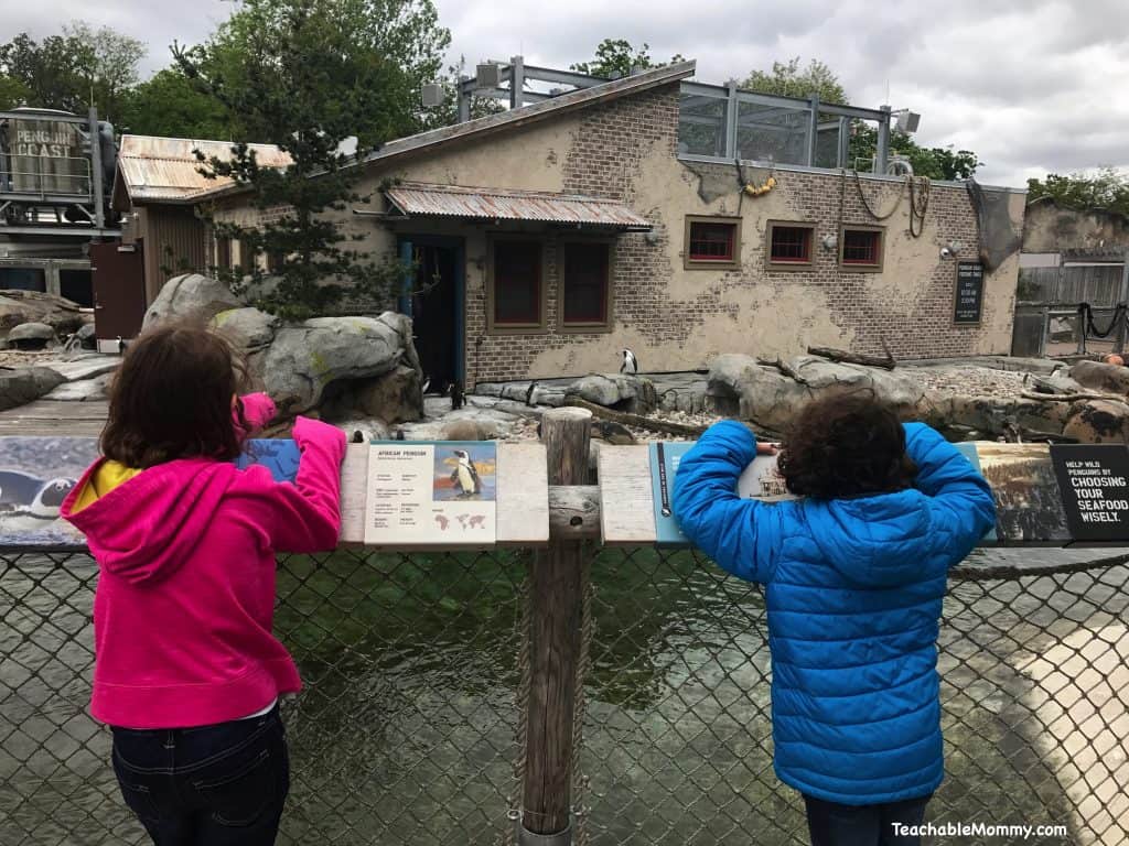 Day at the Maryland Zoo