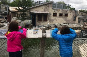 Day at the Maryland Zoo