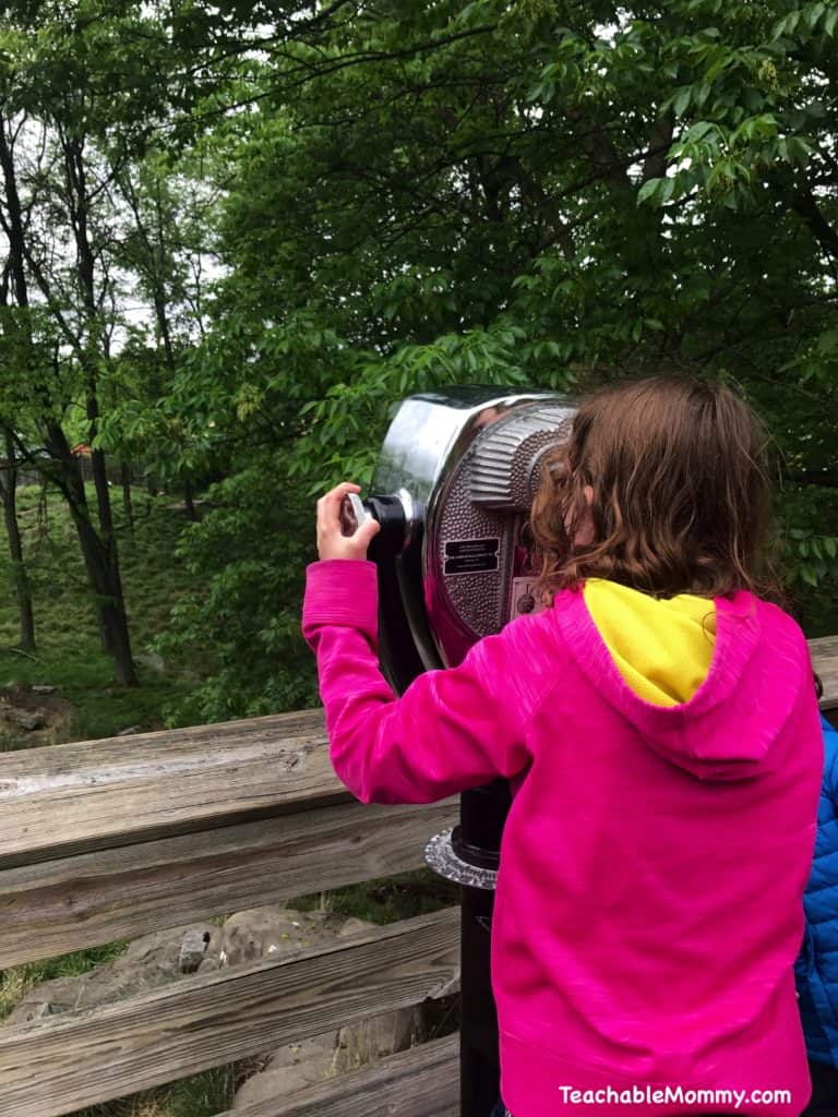 Day at the Maryland Zoo