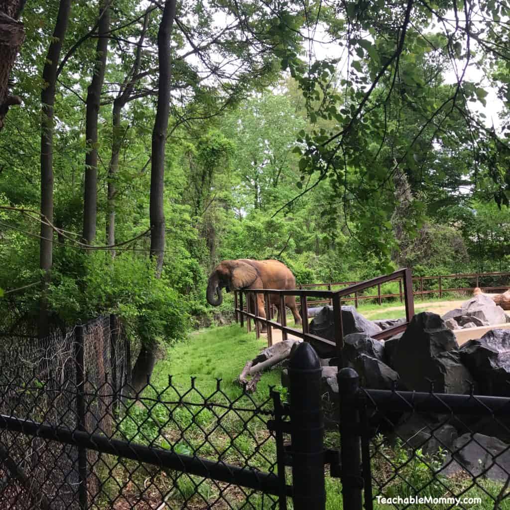 Day at the Maryland Zoo