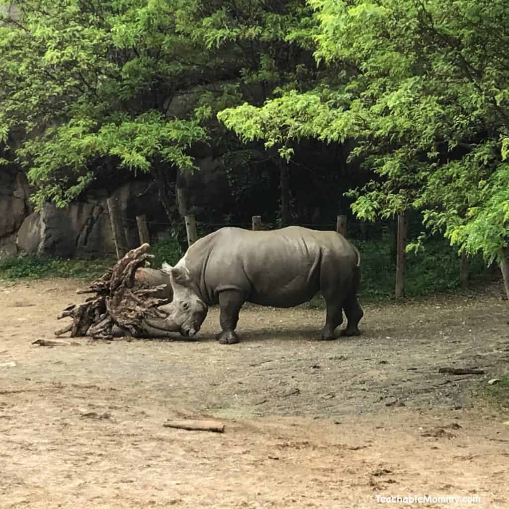 Day at the Maryland Zoo