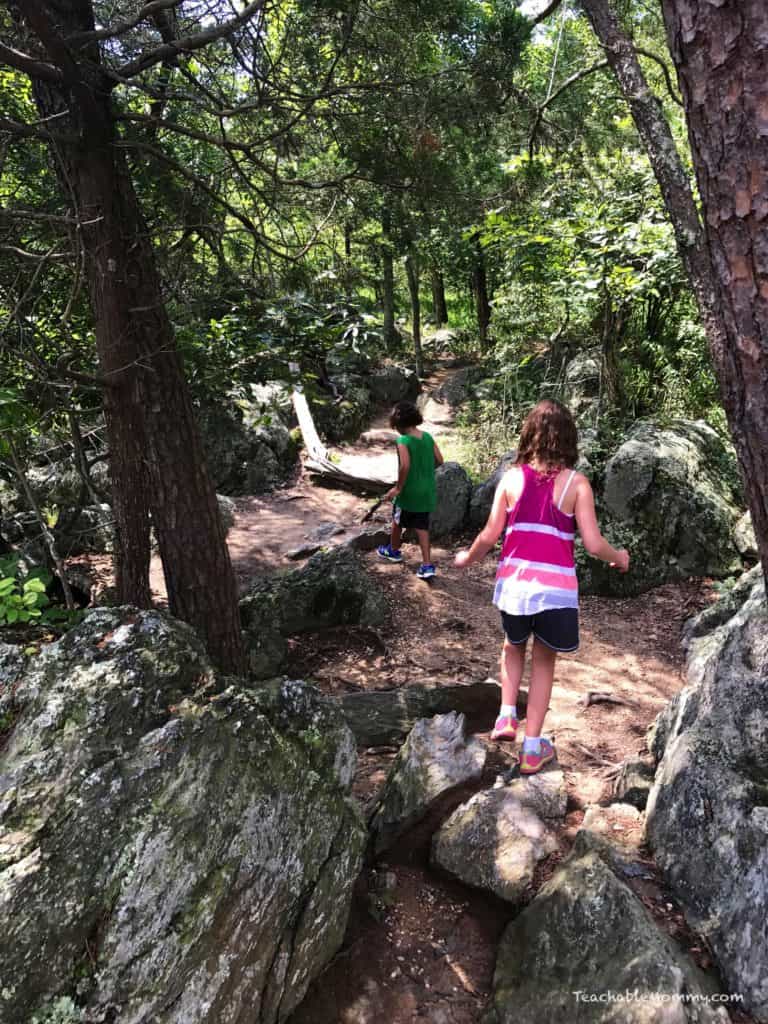 National Park Service Junior Ranger Fun