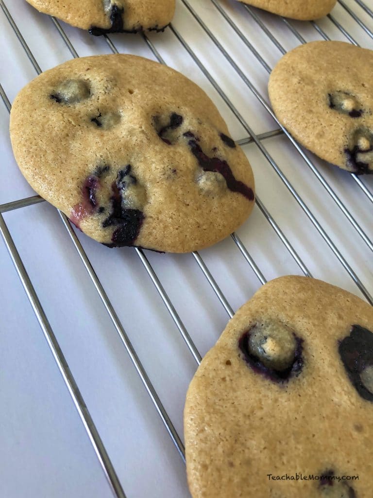 Blueberry Breakfast Cookies with Cream Cheese Yogurt Frosting