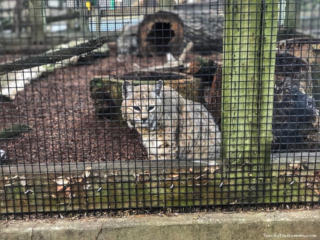 Experience Hersheypark in 2018