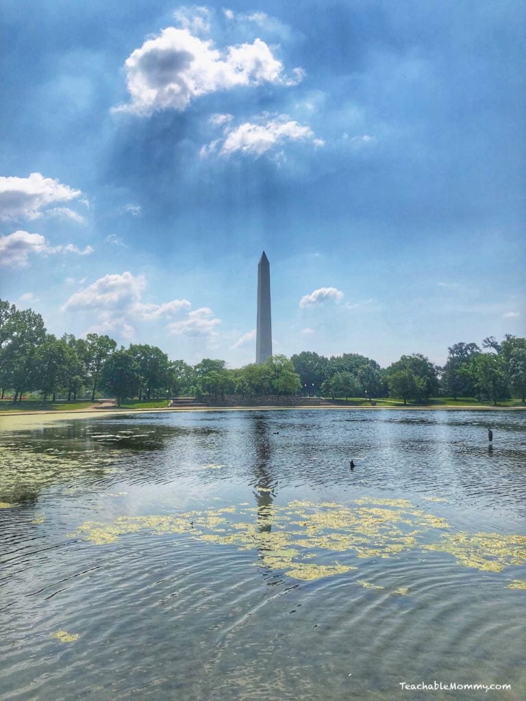 Free Things to Do With Kids in DC