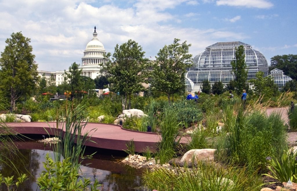 Free Things to Do With Kids in DC