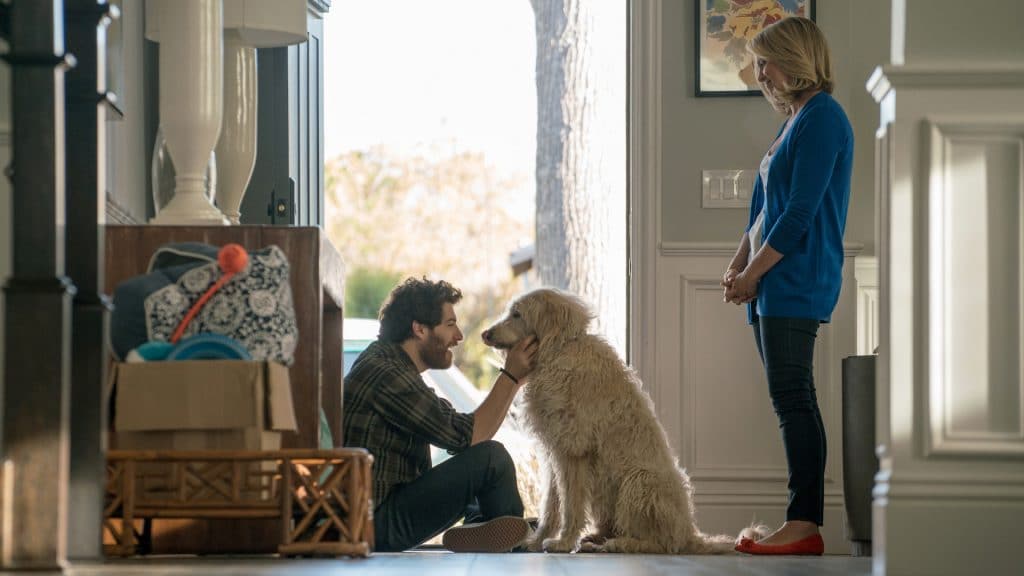 Dog Days Movie Review