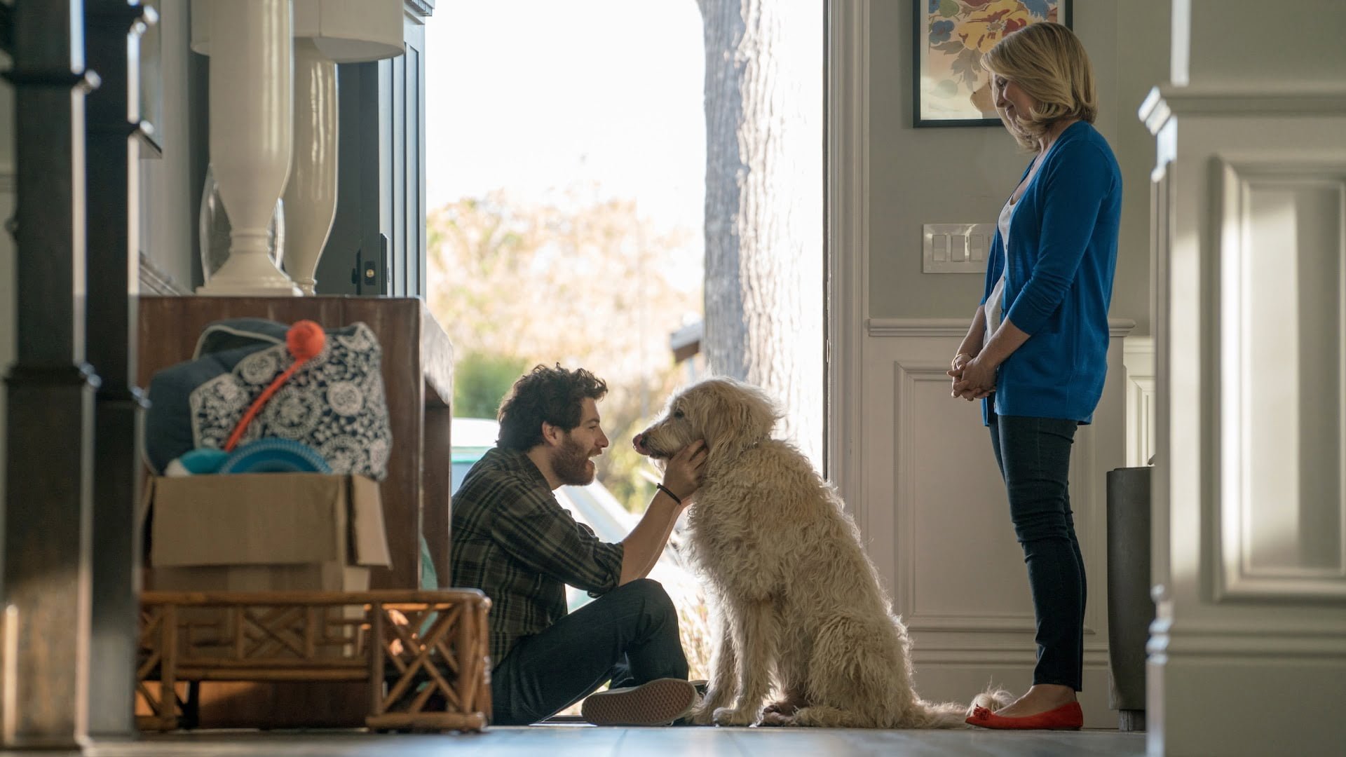 dog days movie review