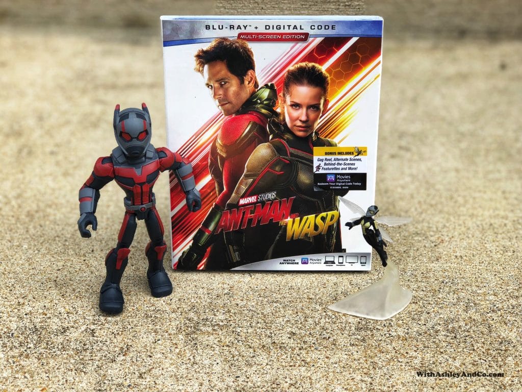 Ant-Man and The Wasp Movie Night