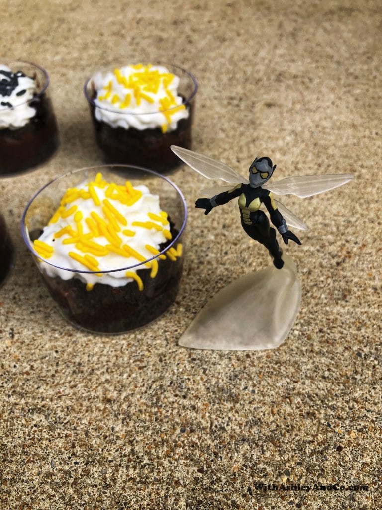 Ant-Man and The Wasp Movie Night