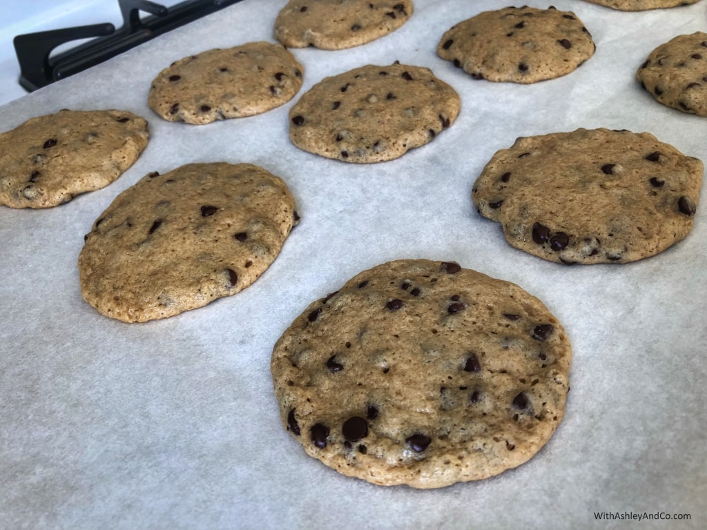 Best Chewy Chocolate Chip Cookie Recipe