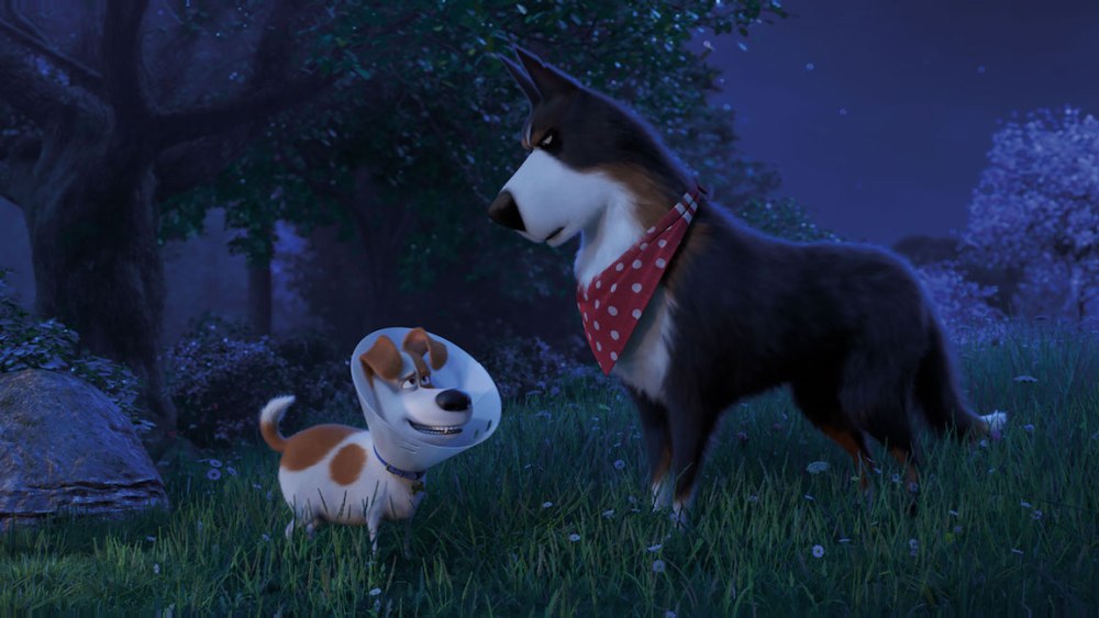Secret Life Of Pets 2 Bonus Features