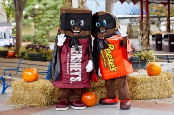 Things to Do at Hersheypark in the Fall