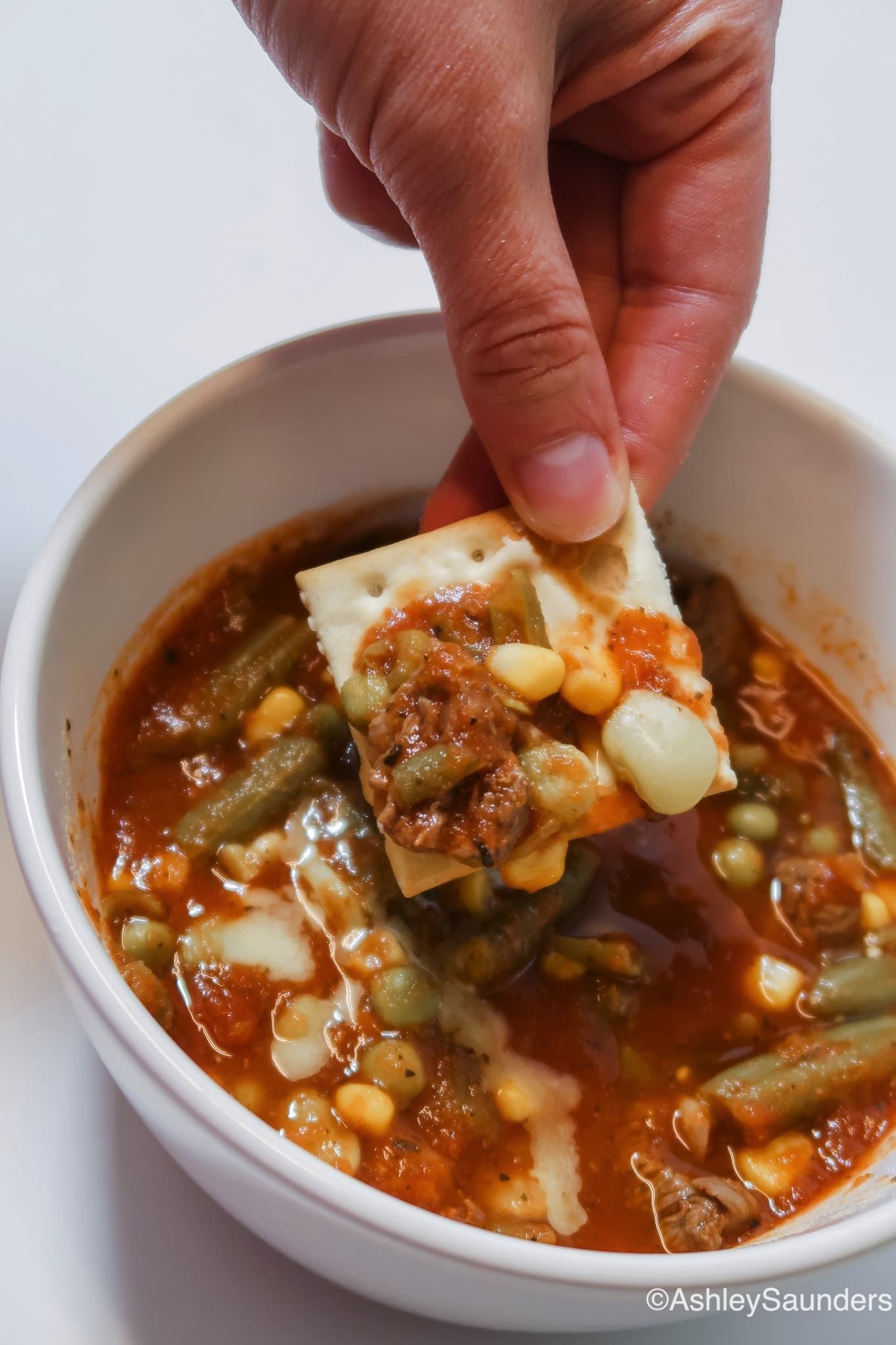 Slow Cooker Beef and Vegetable Stew