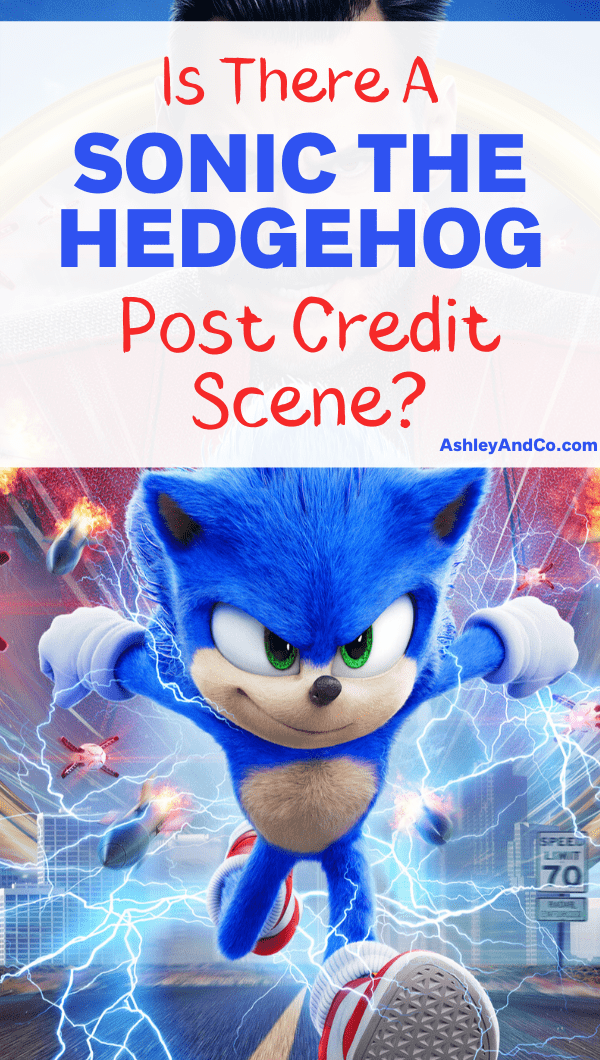 Sonic The Hedgehog Post Credit Scene