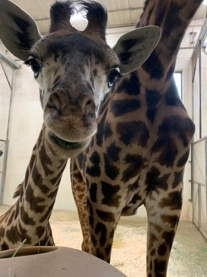 Free Online Learning For Kids