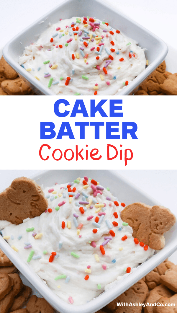 Cake Batter Cookie Dip Pin