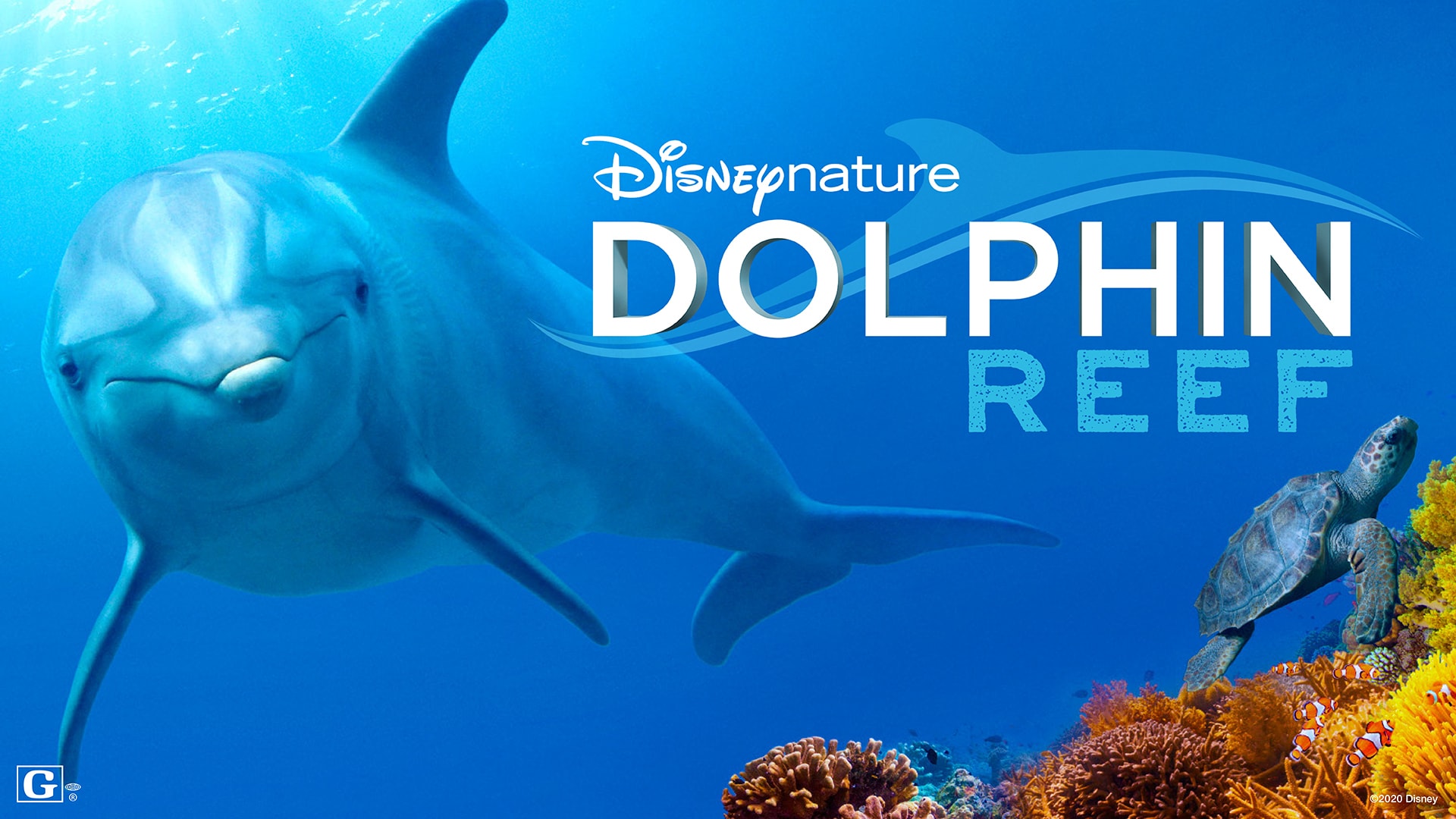 Earth Day Disney Plus Dolphin Reef