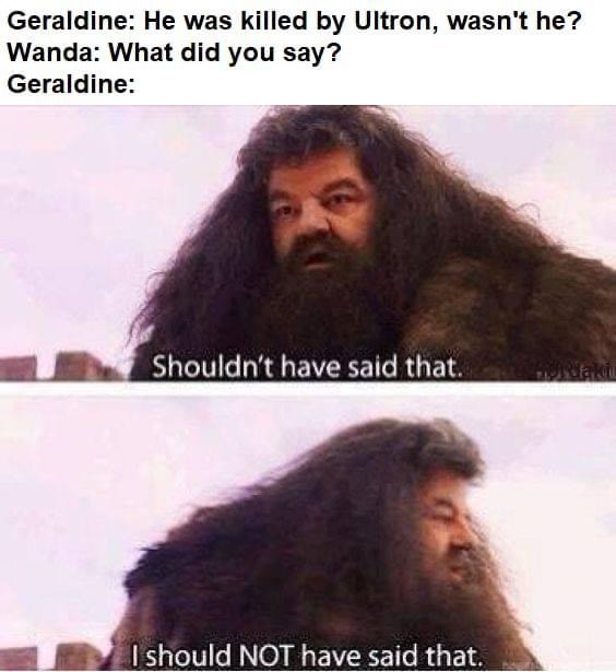 WandaVision Memes Harry Potter