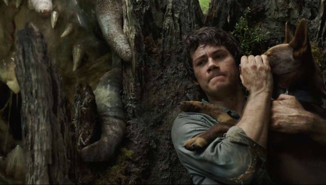 Interview With Special Effects Artist Steven Boyle