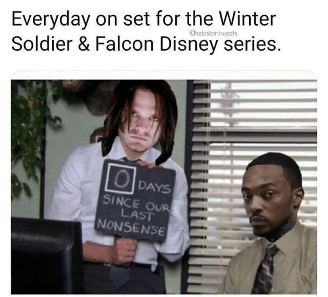 Falcon and The Winter Soldier Memes