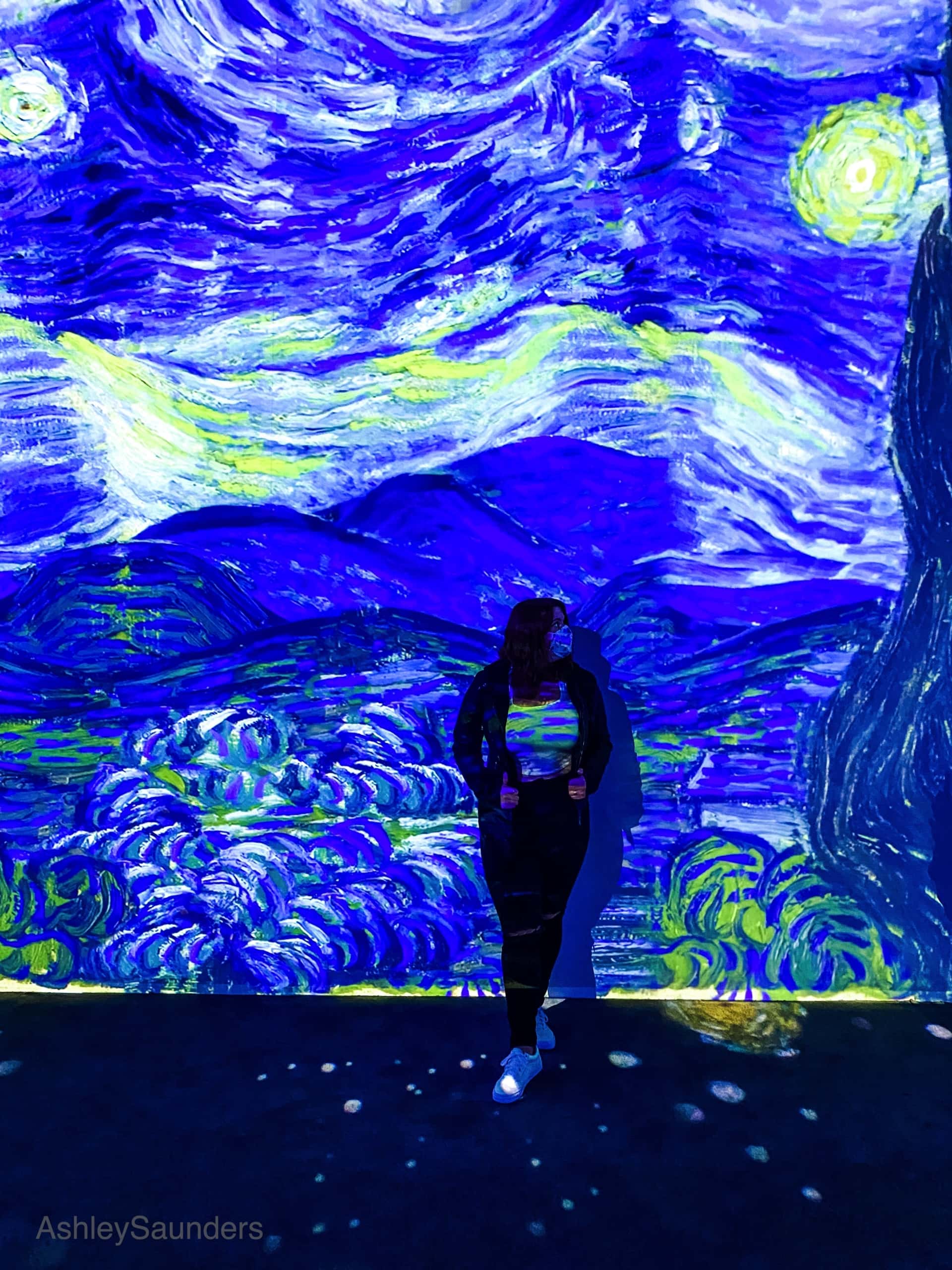 Van Gogh The Immersive Experience Review starry night