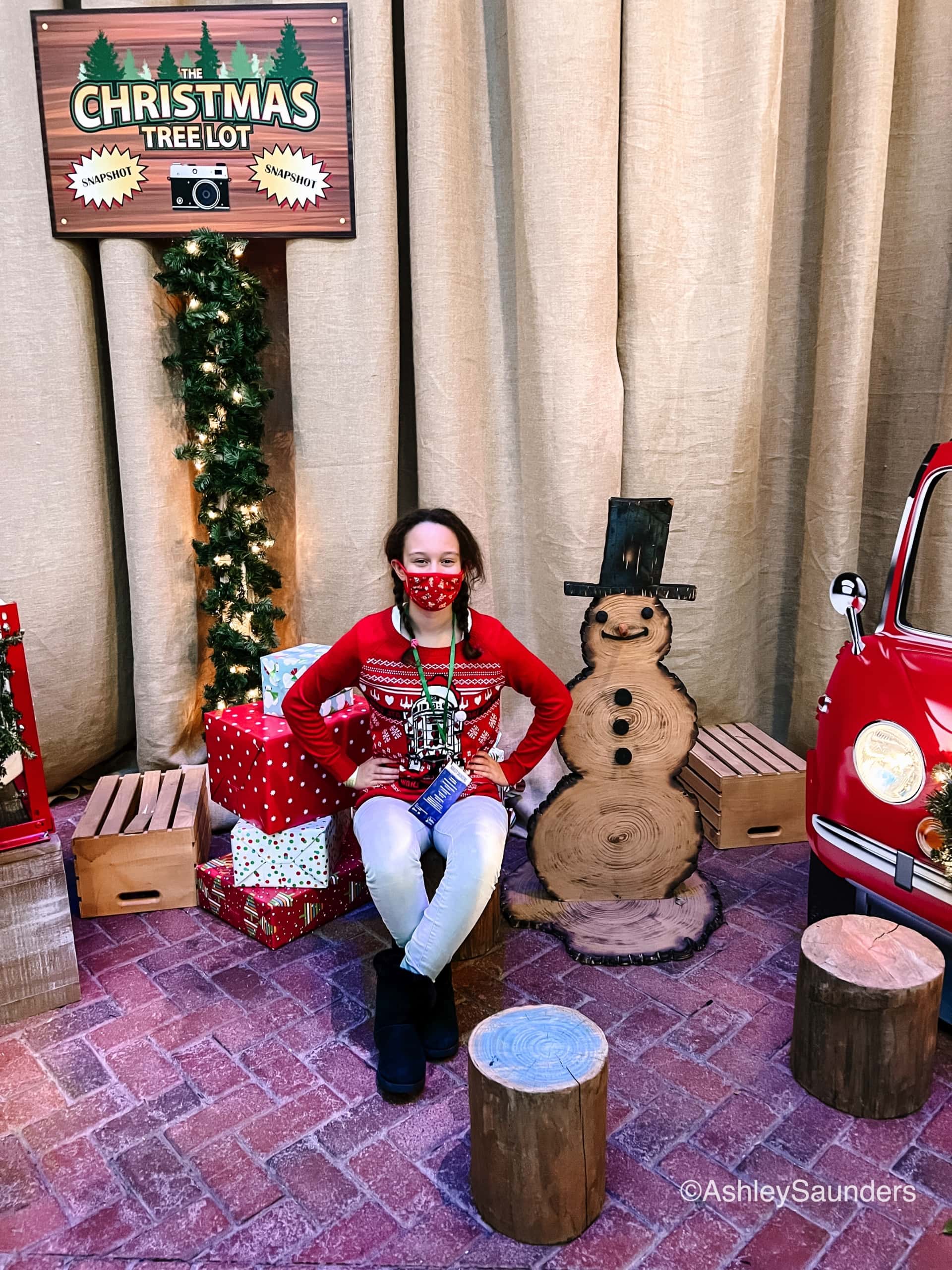Christmas On The Potomac photo opps