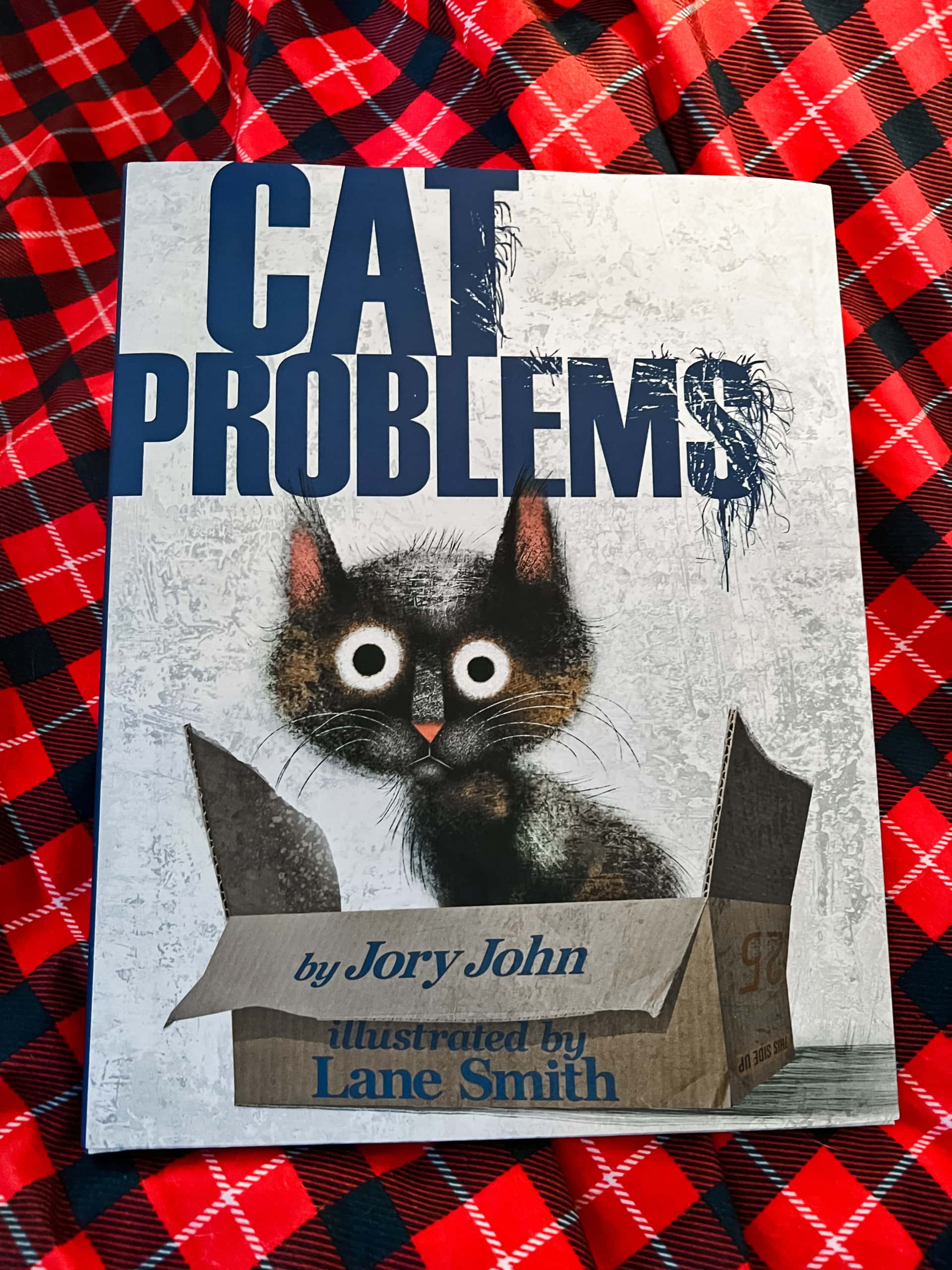 cat problems review