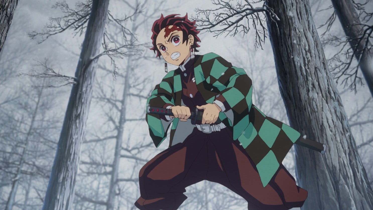 Demon Slayer Kimetsu Festival Details