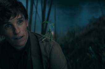 Eddie Redmayne On Relating to Newt